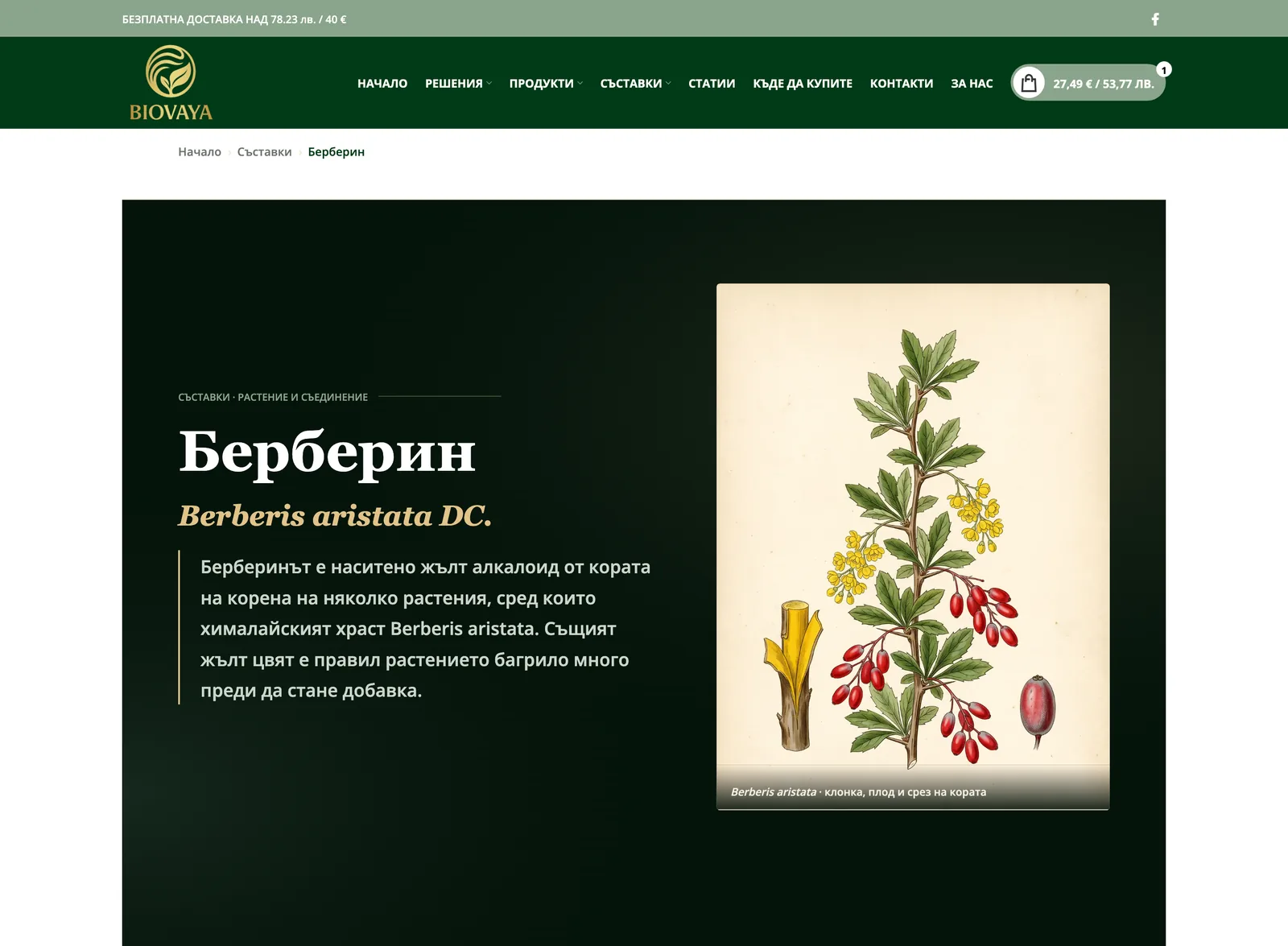 A Biovaya ingredient encyclopedia page for berberine, showing the botanical name and a plate illustration