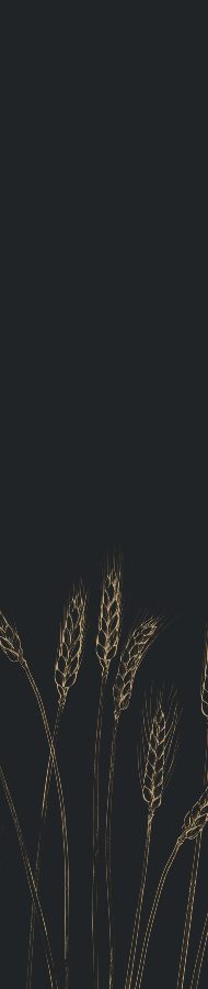 Tall brand banner for Kato Edno Vreme with hand-drawn wheat stalks on dark charcoal, designed by Wonder Works Design